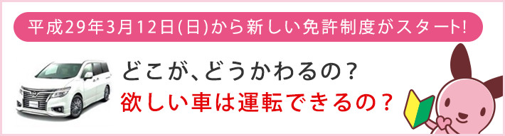 平成29年3月10日までの免許取得を目指す方は早めの入校をおすすめします。