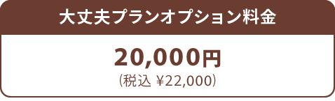 大丈夫プランオプション料金